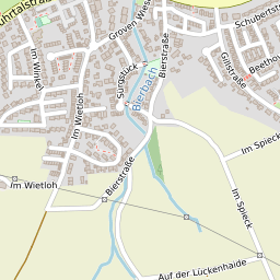 Angeln an der Ruhr bei Schwerte - Monsterfisch